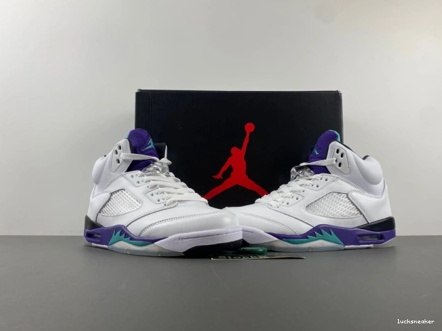 Rep LUCY (2013) Grape 5 Jordan Retro 136027-108 Air 0629